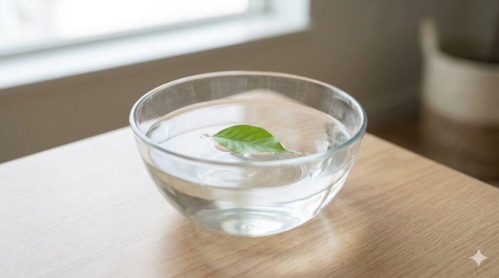 静かな水面に浮かぶ一枚の緑の葉。心が休まる穏やかなイメージ。